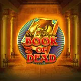 Miniatuur van de gokkast Book of Dead